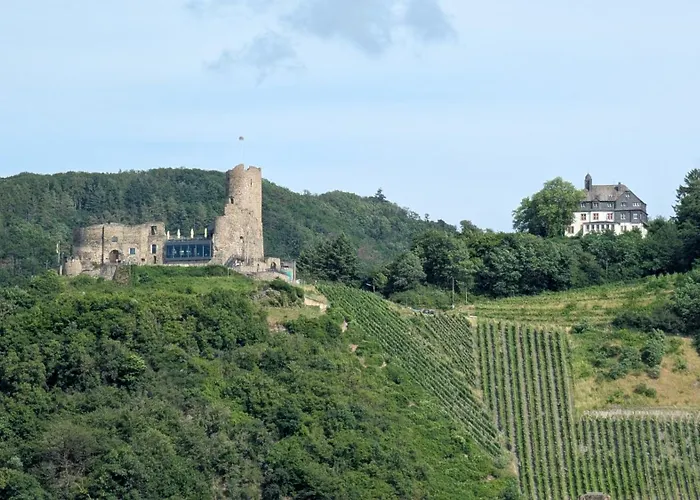 Schneider *